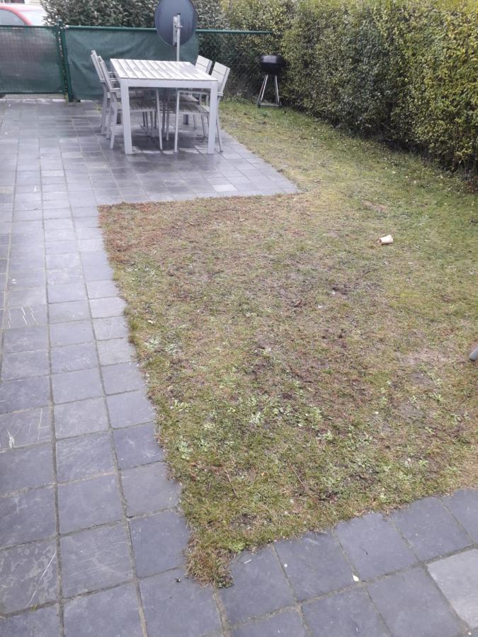 Seacottage Bredene Esterno foto